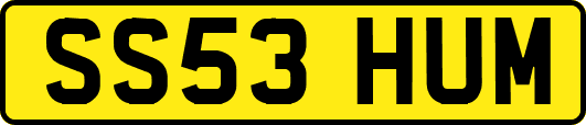 SS53HUM
