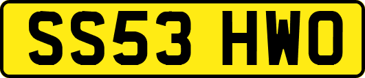SS53HWO