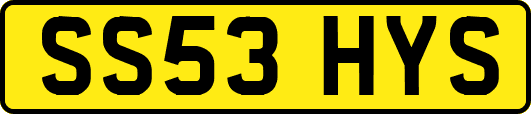 SS53HYS