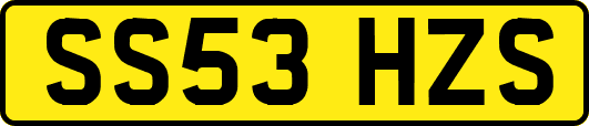 SS53HZS