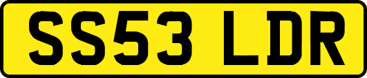 SS53LDR