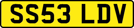 SS53LDV