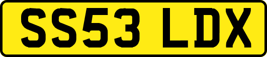 SS53LDX