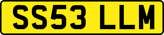 SS53LLM