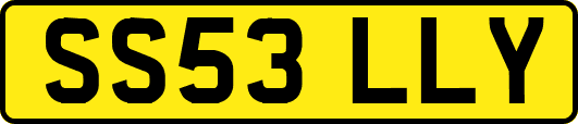 SS53LLY