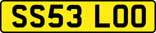 SS53LOO
