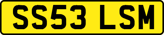 SS53LSM