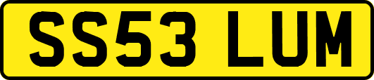 SS53LUM
