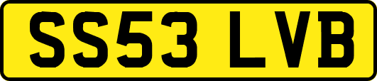 SS53LVB
