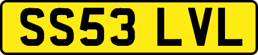SS53LVL