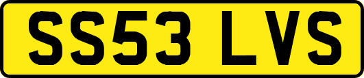 SS53LVS