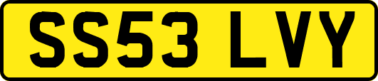 SS53LVY