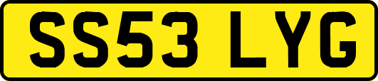 SS53LYG