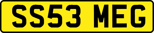 SS53MEG