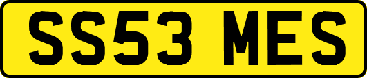 SS53MES