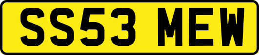 SS53MEW