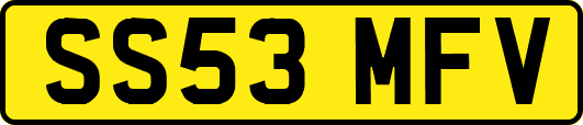 SS53MFV