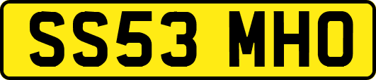 SS53MHO