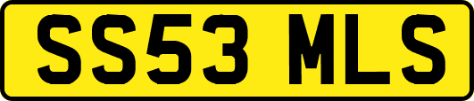 SS53MLS