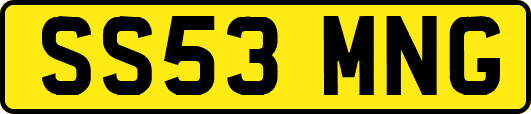 SS53MNG