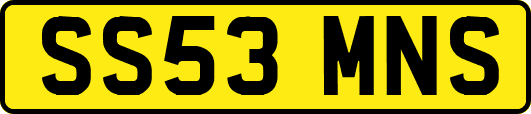 SS53MNS