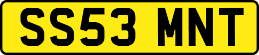 SS53MNT