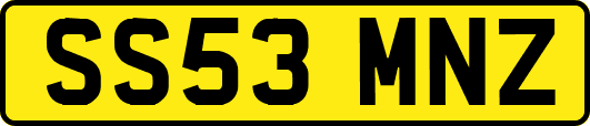 SS53MNZ