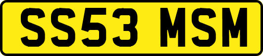 SS53MSM