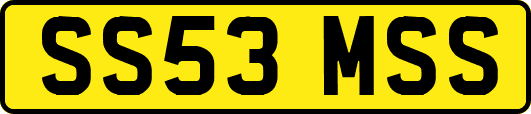 SS53MSS