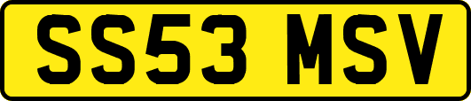 SS53MSV