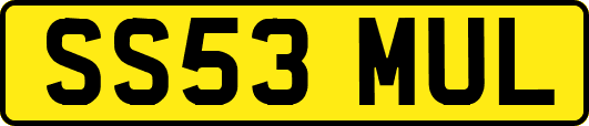 SS53MUL
