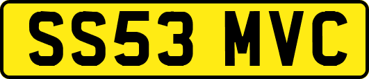SS53MVC