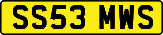 SS53MWS