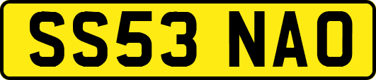 SS53NAO