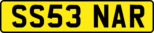 SS53NAR