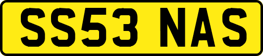 SS53NAS