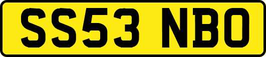 SS53NBO