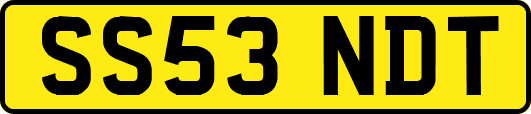 SS53NDT