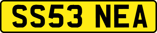 SS53NEA