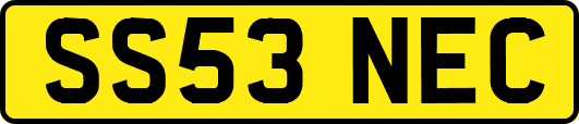 SS53NEC