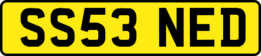 SS53NED