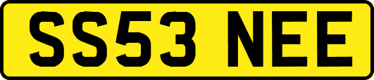 SS53NEE