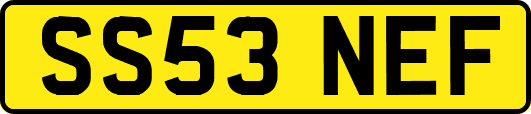 SS53NEF