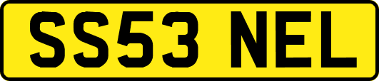 SS53NEL