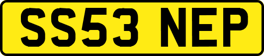 SS53NEP
