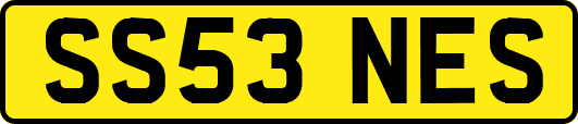 SS53NES