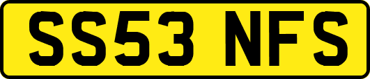 SS53NFS