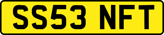 SS53NFT