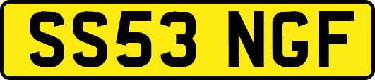 SS53NGF