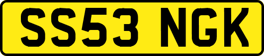 SS53NGK